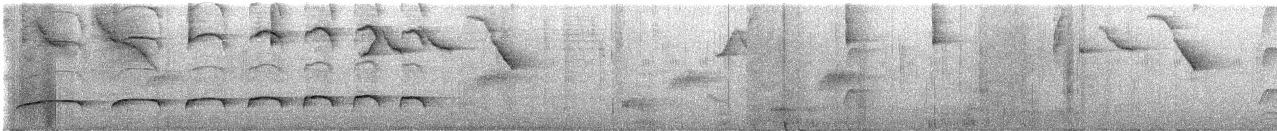 Tufted Antshrike - ML644010142