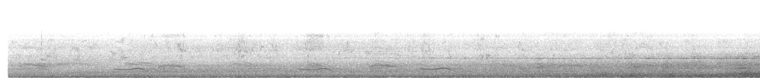 オニカッコウ - ML644010471