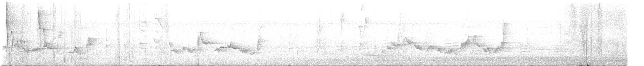 Warbling Vireo (Eastern) - ML644010593