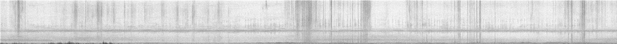 Winter Wren - ML644011434