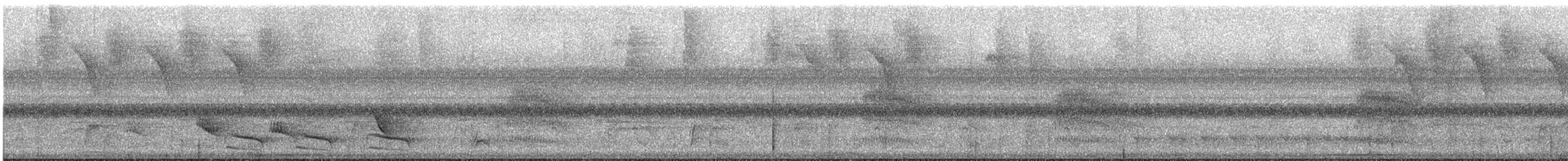 Black-crowned Antshrike - ML644012458