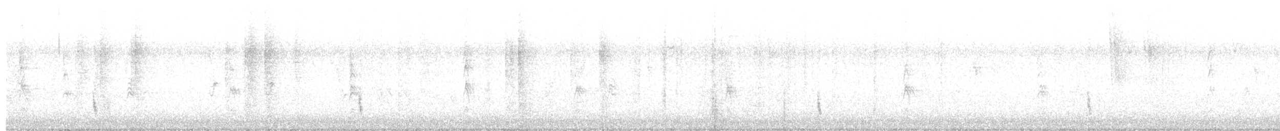 Hermit Thrush - ML644012691