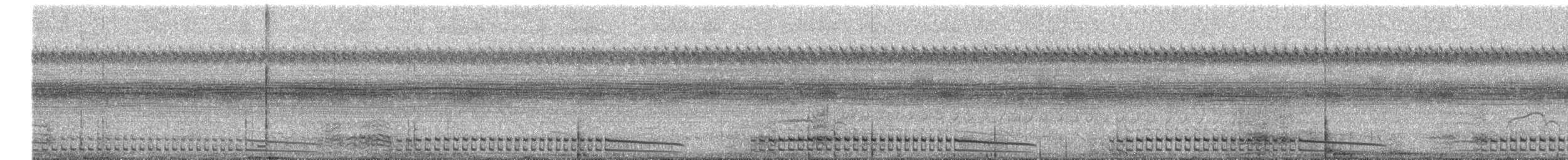 Ash-throated Crake - ML644013502