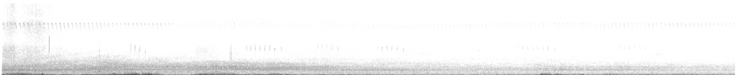 Goldbauch-Spornammer - ML644014517