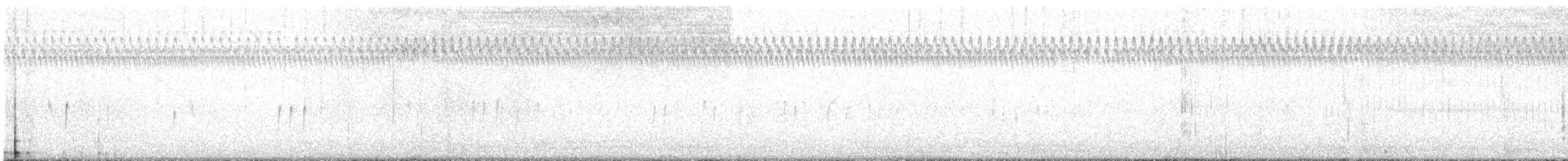 Goldbauch-Spornammer - ML644014519