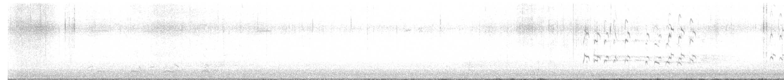 Greater Yellowlegs - ML644014657