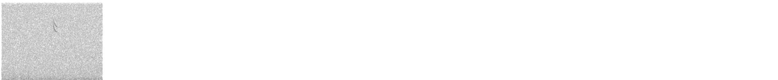 Savannah Sparrow - ML644015337