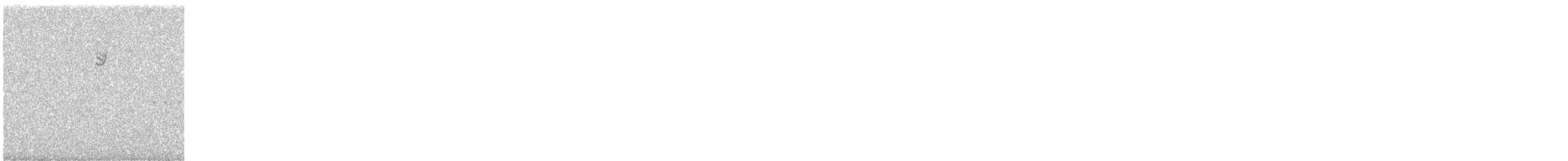 White-crowned Sparrow - ML644015349