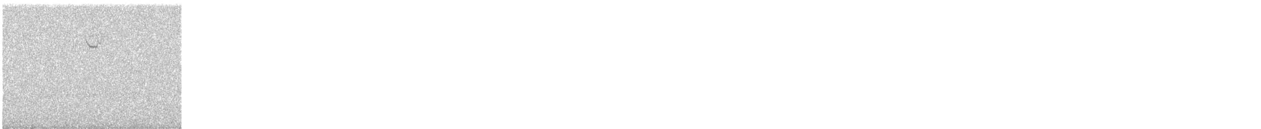 White-throated Sparrow - ML644015350