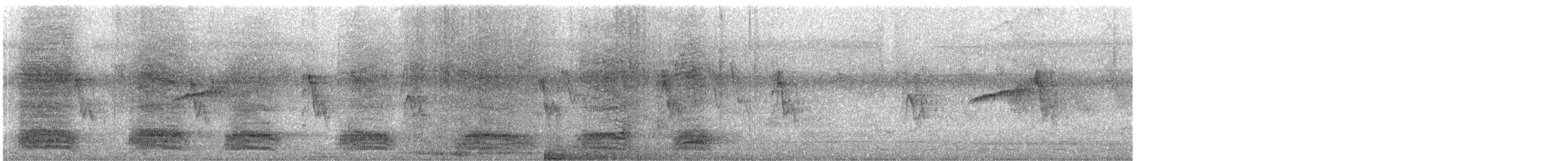 vrána domácí - ML644015386