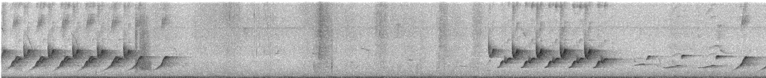 チャバラマユミソサザイ - ML644015664