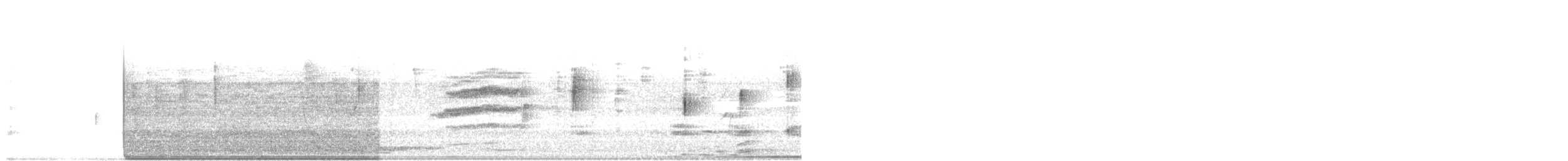 Пятнистый тохи - ML644016671