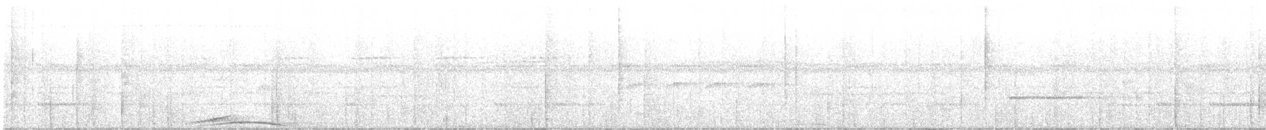 Поту довгохвостий - ML644016901