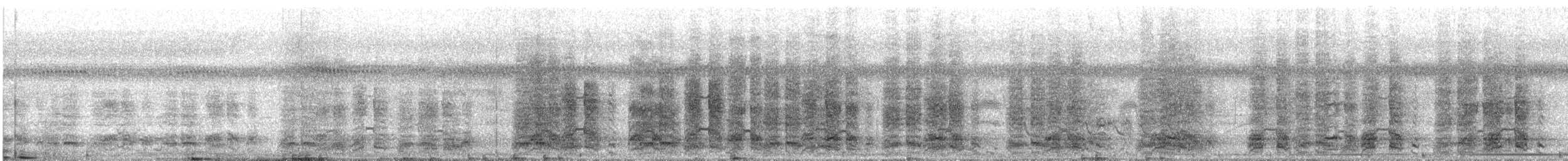 Speckled Chachalaca - ML644017453