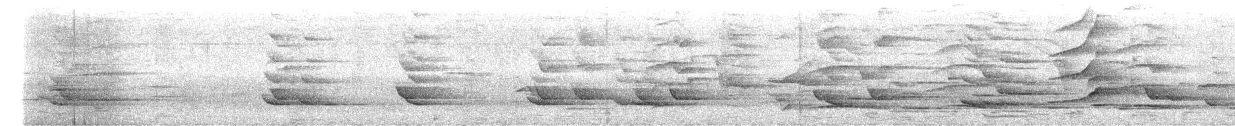 キュウカンチョウ - ML644017494