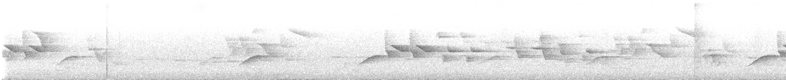 Escribano Gris - ML644018236