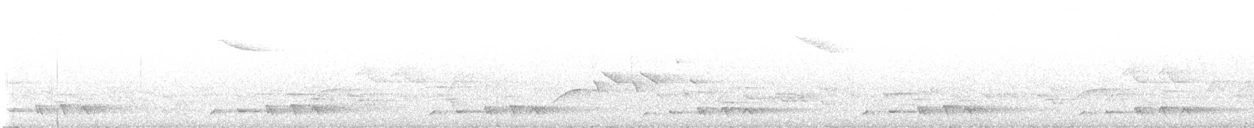 Cuco Chico - ML644018338