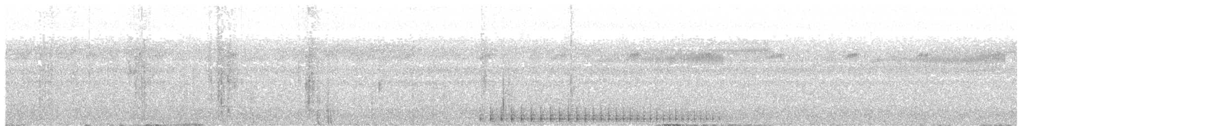 Pico Dorsiblanco (de Amami) - ML644018598