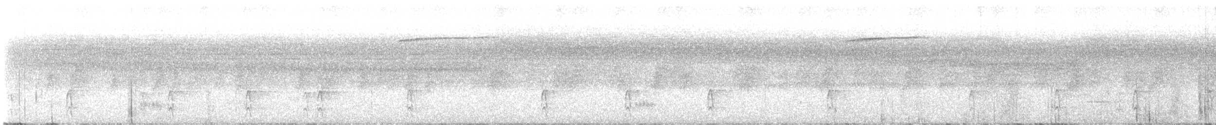 Pico Dorsiblanco (de Amami) - ML644018620