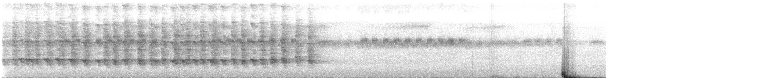 Rascón de Okinawa - ML644018796