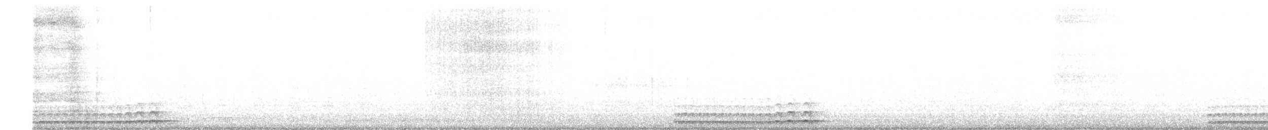 Petit-duc choliba - ML644019213