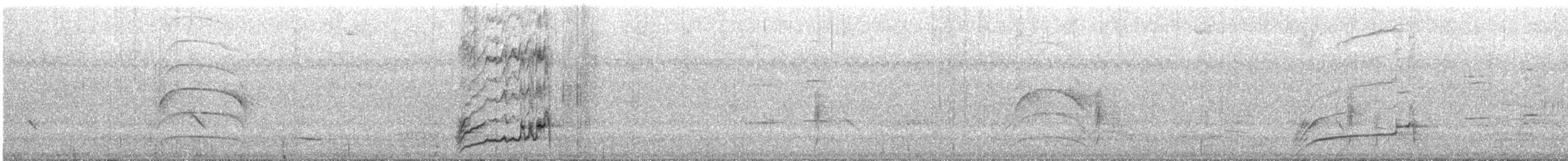 glattnebbani - ML644019292