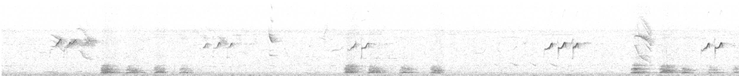 Solitary Sandpiper - ML644019323