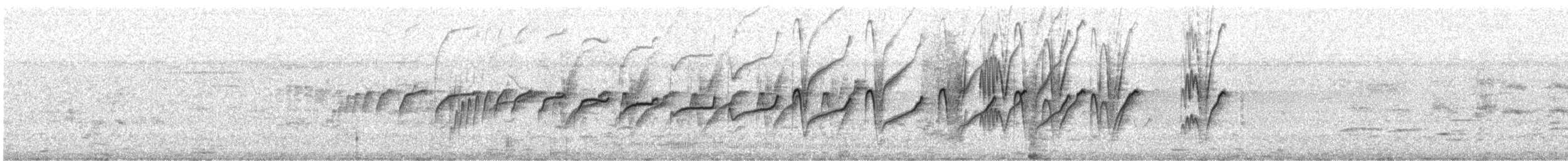 White-throated Jacamar - ML644019419