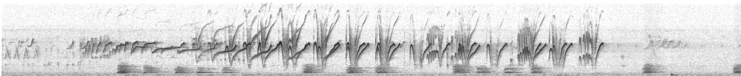 White-throated Jacamar - ML644019463