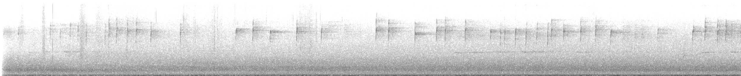 Mirlo Común - ML644020001