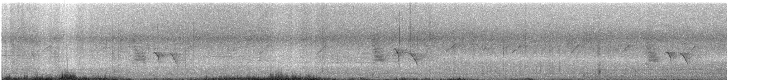 Black Drongo - ML644020149