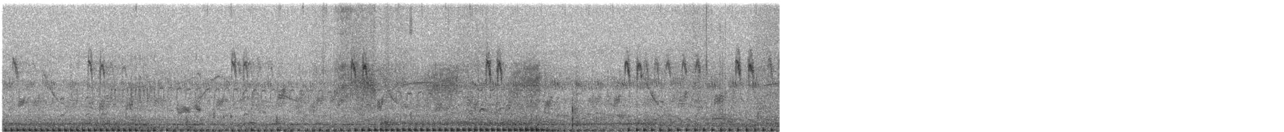 White Wagtail (White-faced/Transbaikalian) - ML644020557