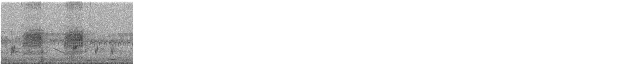 Long-tailed Shrike - ML644020562