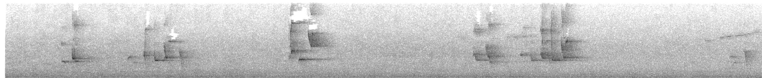 Crescent Honeyeater - ML644020673