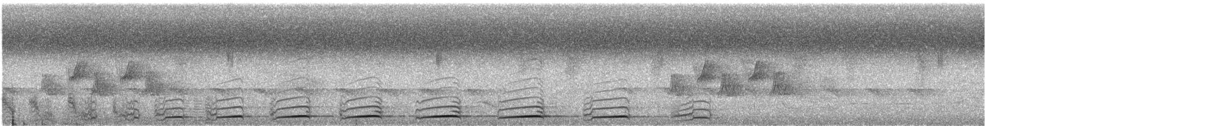 シロボシオオゴシキドリ - ML644020919