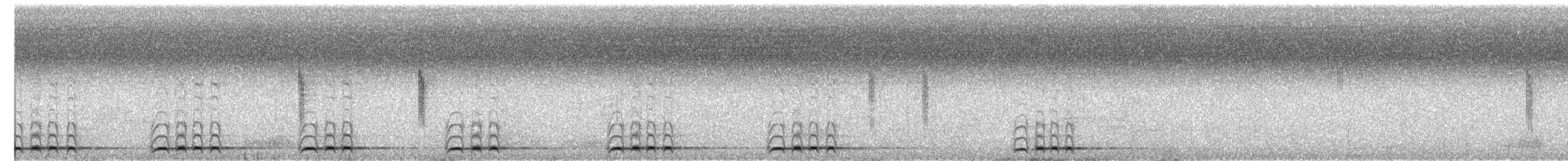 シロボシオオゴシキドリ - ML644020920