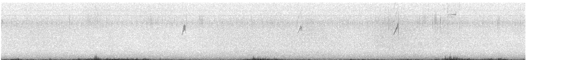 Pipit spioncelle - ML644020968