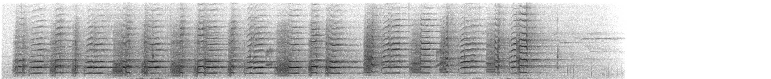 Black Currawong - ML644021342