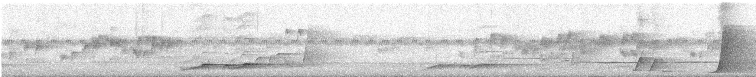 Noisy Pitta - ML644021363
