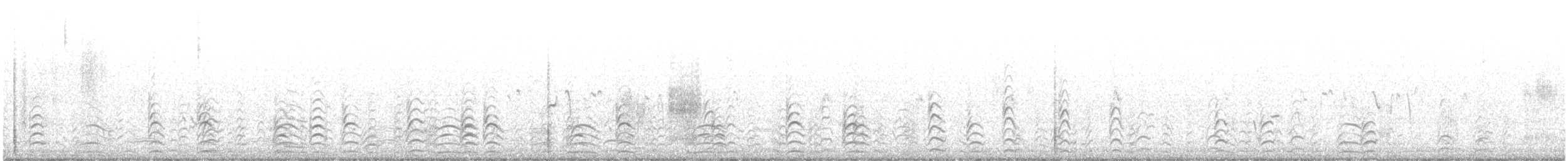 オーストラリアセイタカシギ - ML644021473