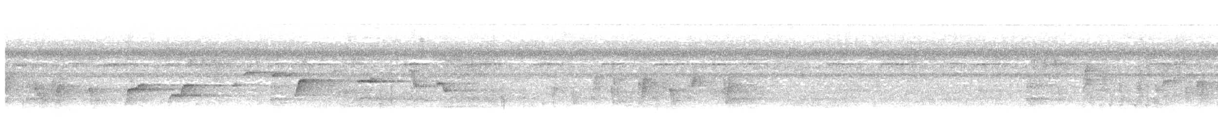 Malaysian Pied-Fantail - ML644021822