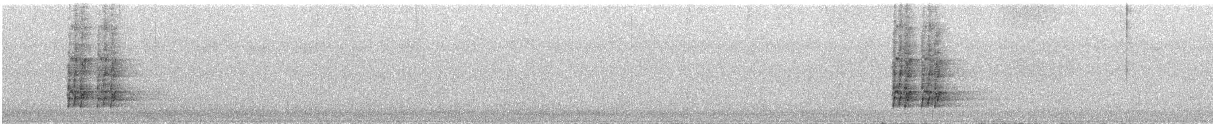 Gray Currawong - ML644022001