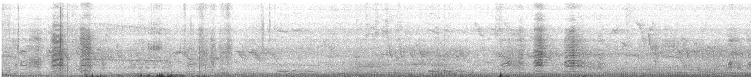 Ak Gözlü Papağan - ML644022164