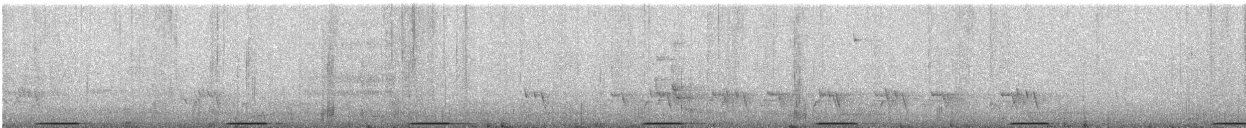 holub pestrokřídlý - ML644022165