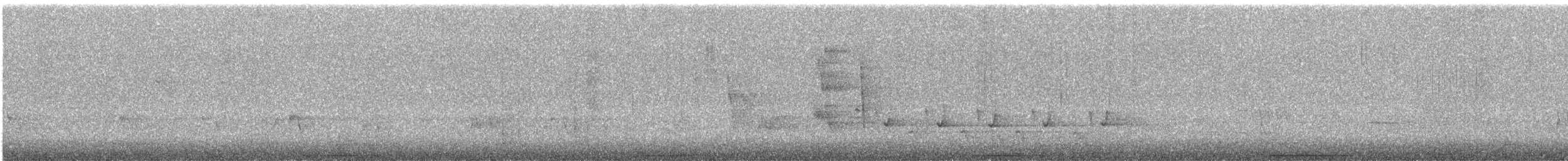 holub pestrokřídlý - ML644022166