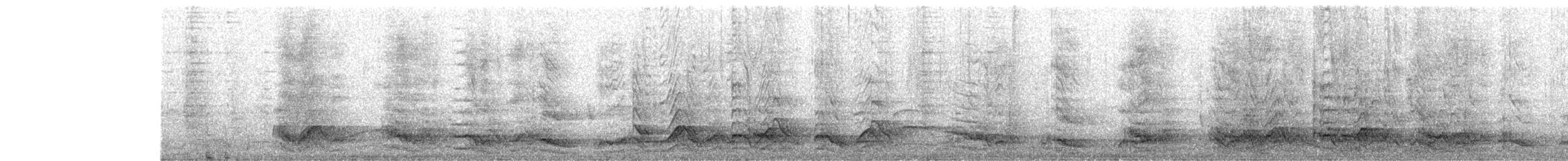 Pied Currawong - ML644022588