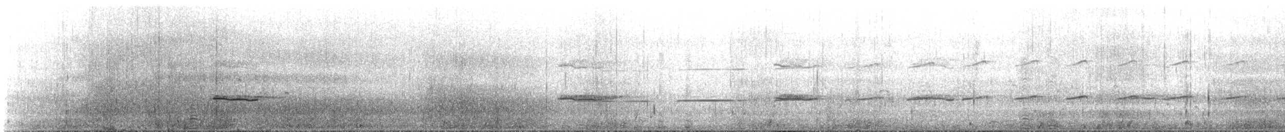 Magellanic Oystercatcher - ML644022727