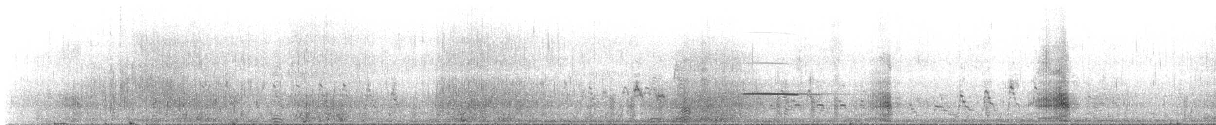 Magellanic Oystercatcher - ML644022738