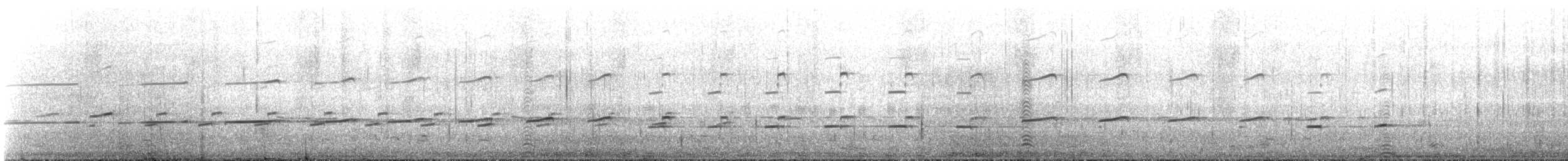 Magellanic Oystercatcher - ML644022776