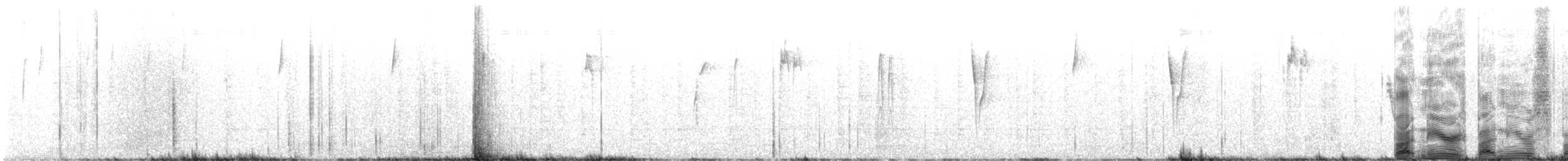 Botteri's Sparrow - ML644023357